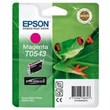 Картридж с пурпурными чернилами Epson T0543 (C13T05434010)
