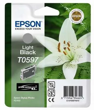 Картридж с серыми чернилами Epson T0597 (C13T05974010) в России Картридж с серыми чернилами Epson T0597 (C13T05974010) в России