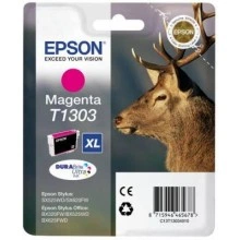 Картридж Epson C13T13034010/C13T13034012