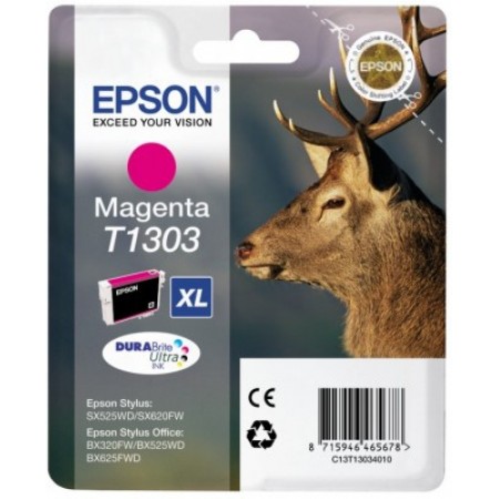 Картридж Epson C13T13034010/C13T13034012 в Москве Картридж Epson C13T13034010/C13T13034012 в Москве