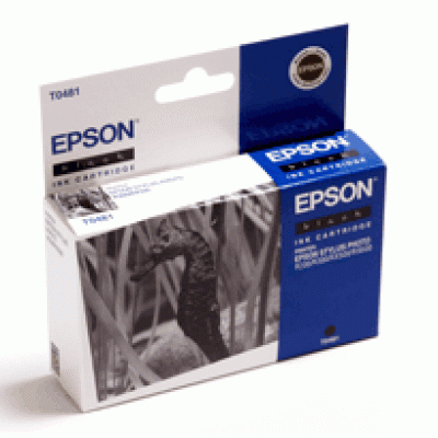 Картридж Epson EPT048140
