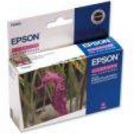 Картридж Epson EPT048340