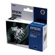 Картридж Epson EPT054840