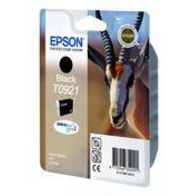 Картридж Epson EPT09214A10