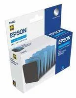 Картридж Epson EPT42240