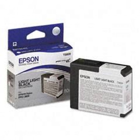Картридж Epson EPT580900 в Москве Картридж Epson EPT580900 в Москве