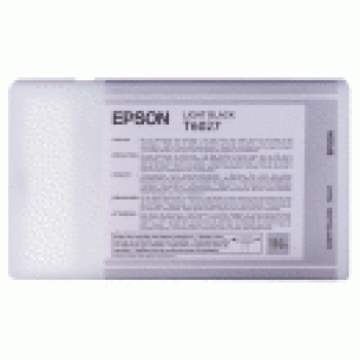 Картридж Epson EPT603700 Картридж Epson EPT603700