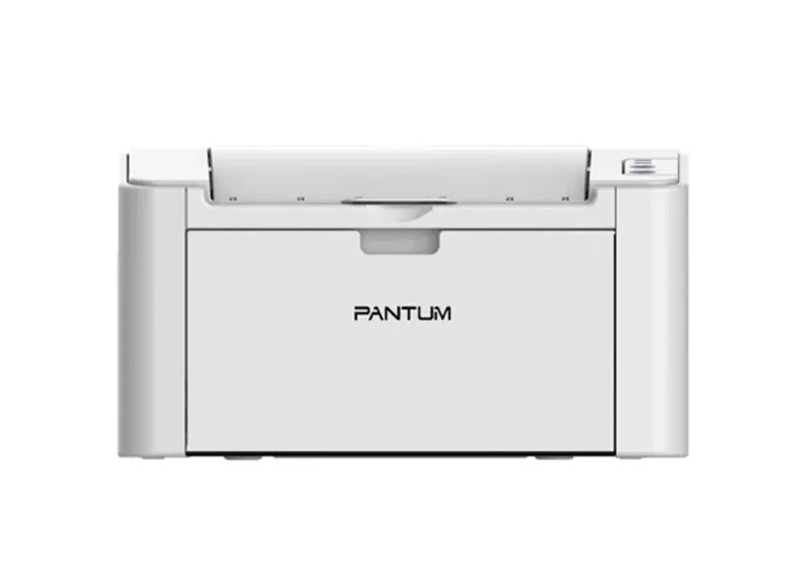Принтер Pantum P2207 в России Принтер Pantum P2207 в России